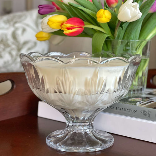 Amelia March 2026.jpeg__PID:fd233055-52cf-4cb0-a3a6-b6883fc03112