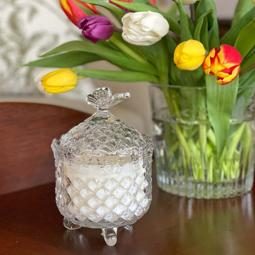 Anistyn March 2026.jpeg__PID:e03b8adb-fd23-4055-92cf-5cb023a6b688