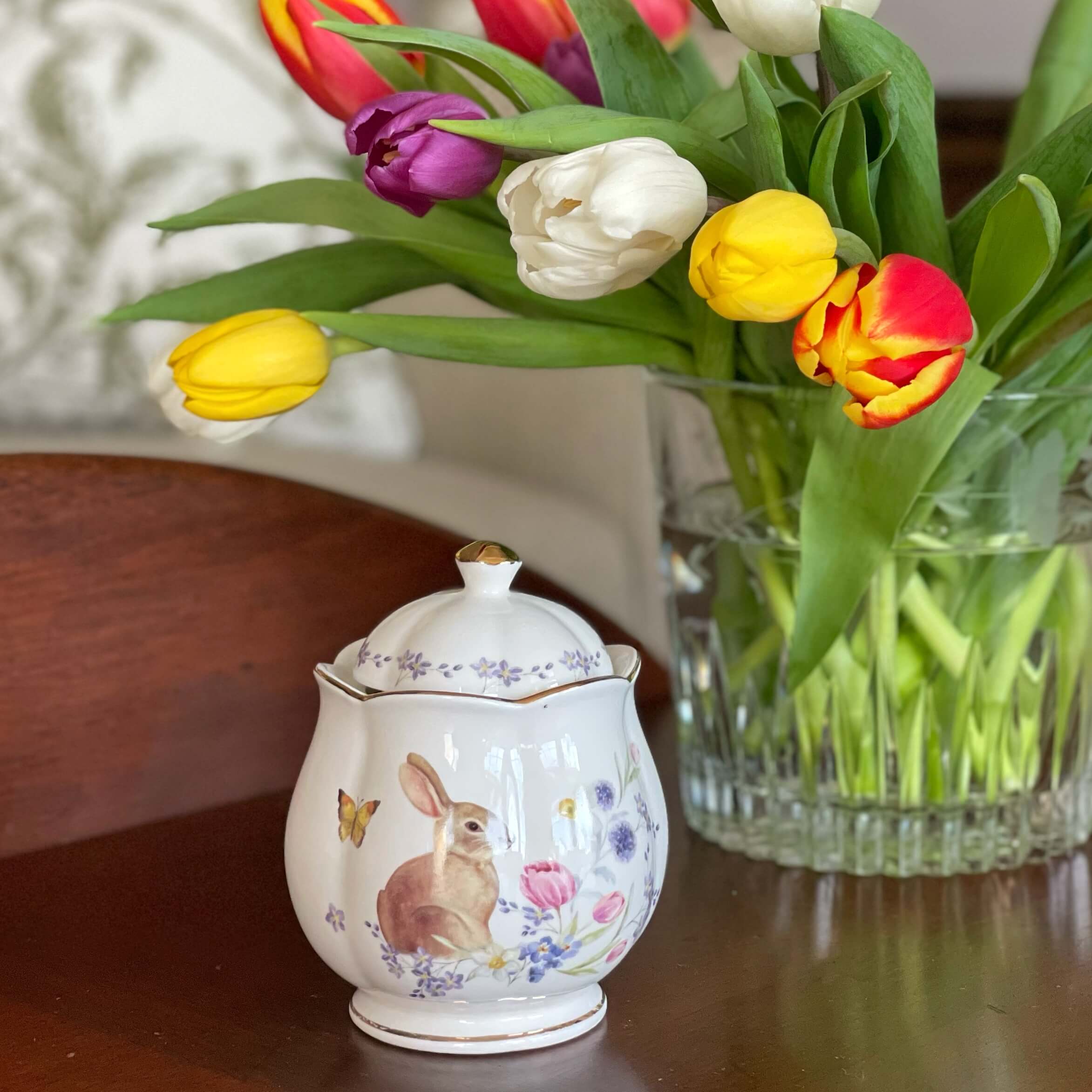 Clara March 2026.jpeg__PID:10df298c-11f2-4f1d-b76b-a18575edbfc2