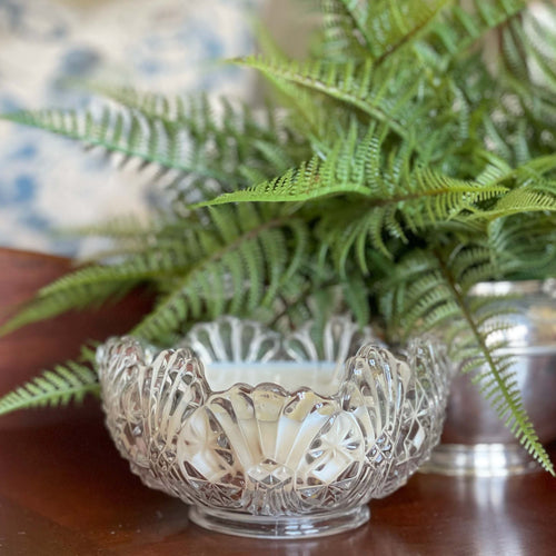 Cynthia Jean April 2026.jpeg__PID:3fbbbd30-b4bc-4336-8e2e-e99b62b81ef4