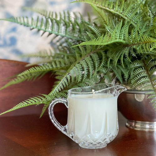 Ellen April 2026.jpeg__PID:bbbd30b4-bc93-464e-aee9-9b62b81ef49c