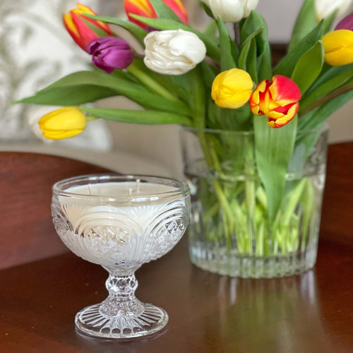 Hollis March 2026.jpeg__PID:8adbfd23-3055-42cf-9cb0-23a6b6883fc0